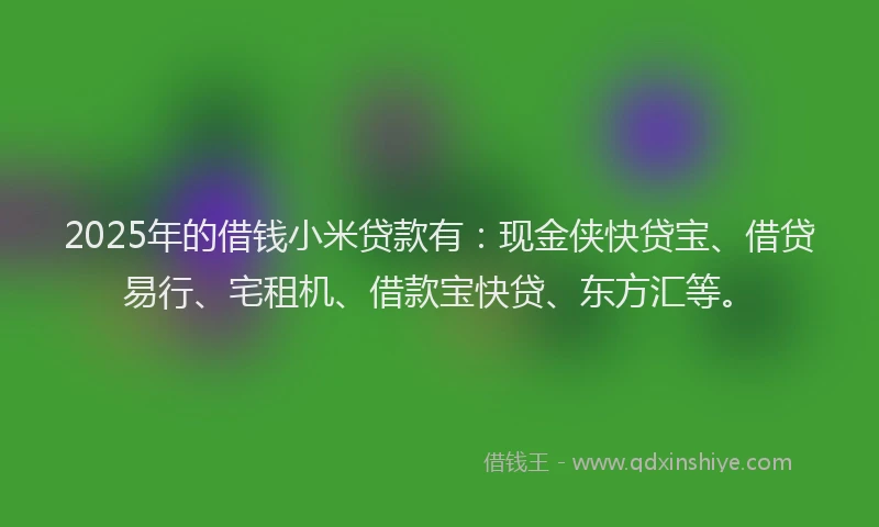 2025年的借钱小米贷款有：现金侠快贷宝、借贷易行、宅租机、借款宝快贷、东方汇等。