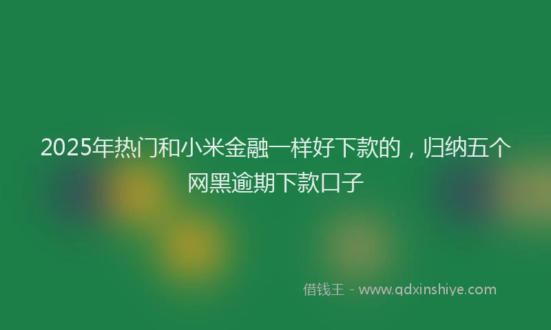 2025年热门和小米金融一样好下款的，归纳五个网黑逾期下款口子