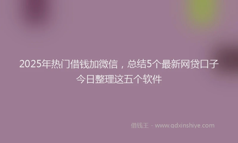 2025年热门借钱加微信，总结5个最新网贷口子今日整理这五个软件
