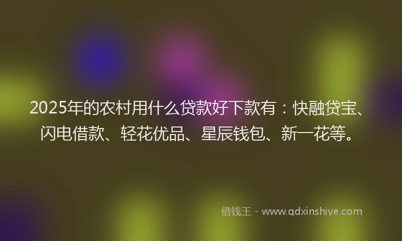 2025年的农村用什么贷款好下款有：快融贷宝、闪电借款、轻花优品、星辰钱包、新一花等。