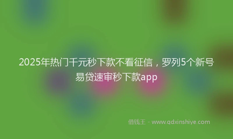 2025年热门千元秒下款不看征信，罗列5个新号易贷速审秒下款app