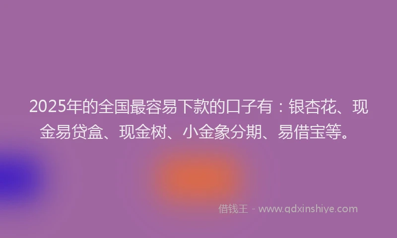 2025年的全国最容易下款的口子有：银杏花、现金易贷盒、现金树、小金象分期、易借宝等。