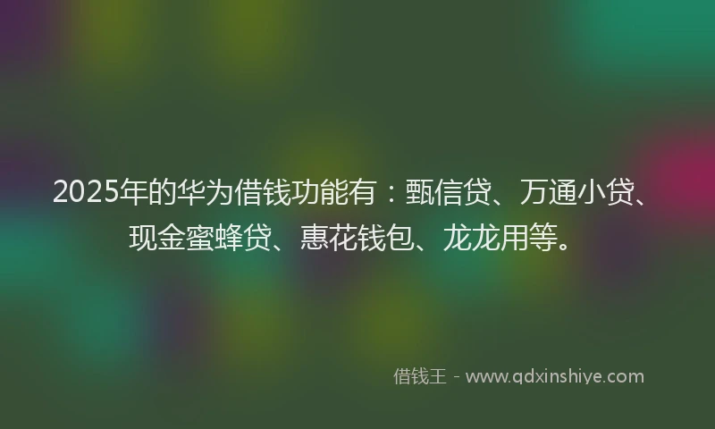 2025年的华为借钱功能有：甄信贷、万通小贷、现金蜜蜂贷、惠花钱包、龙龙用等。