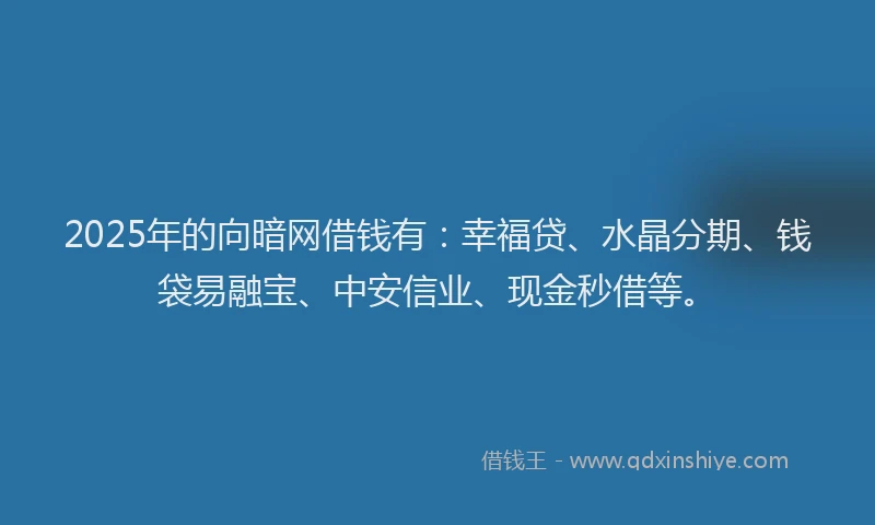 2025年的向暗网借钱有：幸福贷、水晶分期、钱袋易融宝、中安信业、现金秒借等。