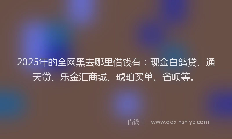 2025年的全网黑去哪里借钱有：现金白鸽贷、通天贷、乐金汇商城、琥珀买单、省呗等。