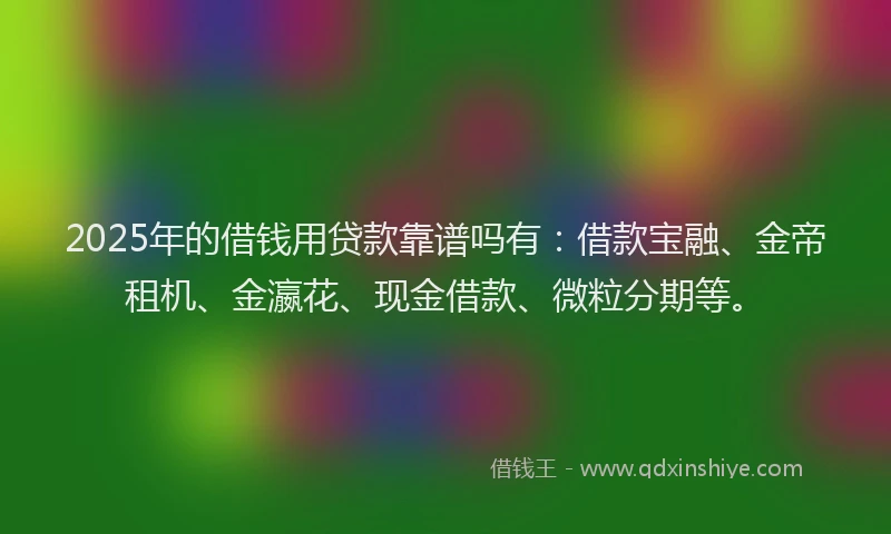 2025年的借钱用贷款靠谱吗有：借款宝融、金帝租机、金瀛花、现金借款、微粒分期等。