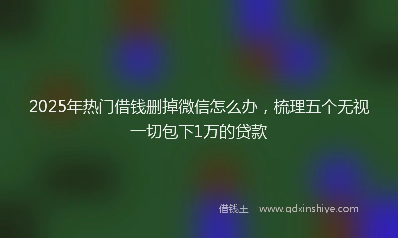 2025年热门借钱删掉微信怎么办，梳理五个无视一切包下1万的贷款