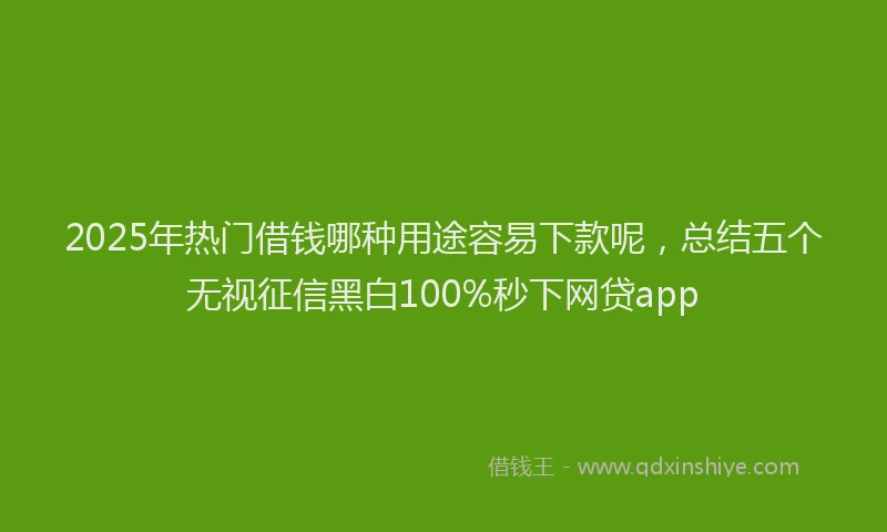 2025年热门借钱哪种用途容易下款呢，总结五个无视征信黑白100%秒下网贷app