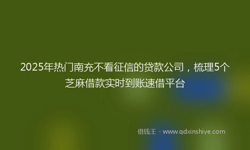 2025年热门南充不看征信的贷款公司，梳理5个芝麻借款实时到账速借平台