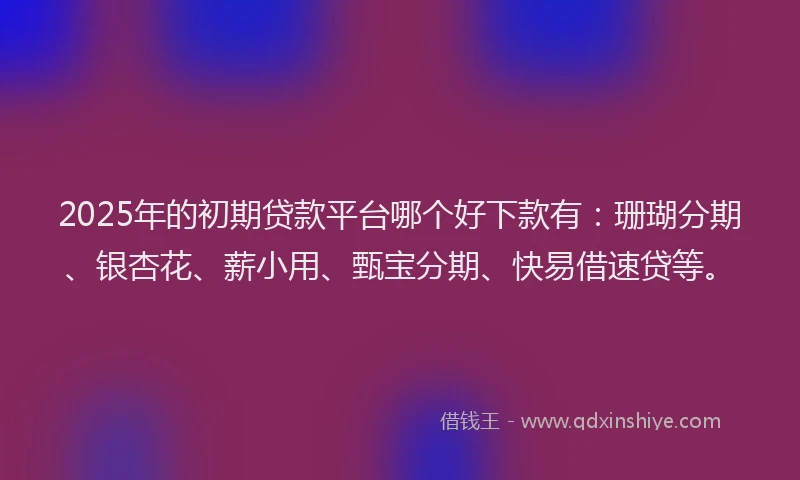 2025年的初期贷款平台哪个好下款有：珊瑚分期、银杏花、薪小用、甄宝分期、快易借速贷等。