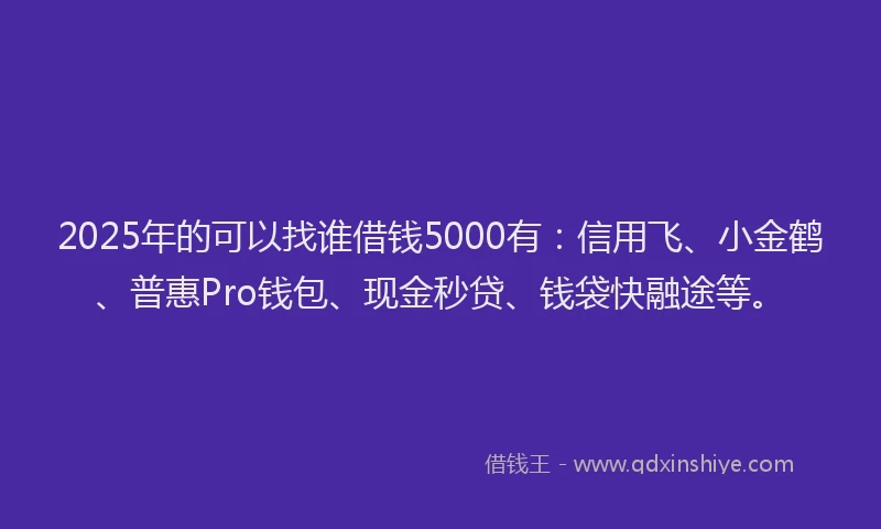 2025年的可以找谁借钱5000有：信用飞、小金鹤、普惠Pro钱包、现金秒贷、钱袋快融途等。