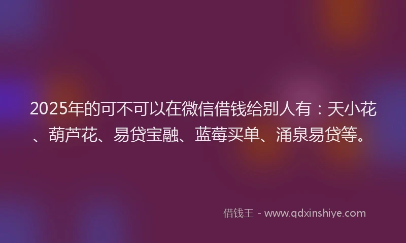 2025年的可不可以在微信借钱给别人有：天小花、葫芦花、易贷宝融、蓝莓买单、涌泉易贷等。