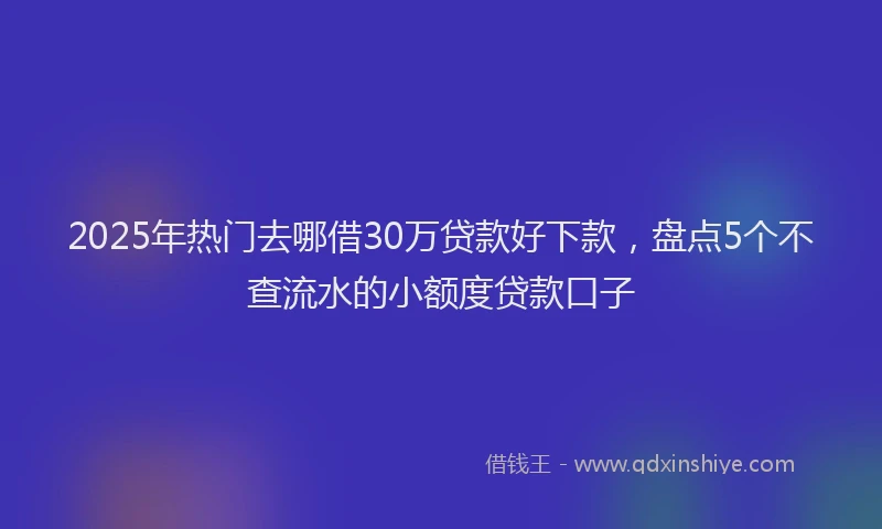 2025年热门去哪借30万贷款好下款，盘点5个不查流水的小额度贷款口子