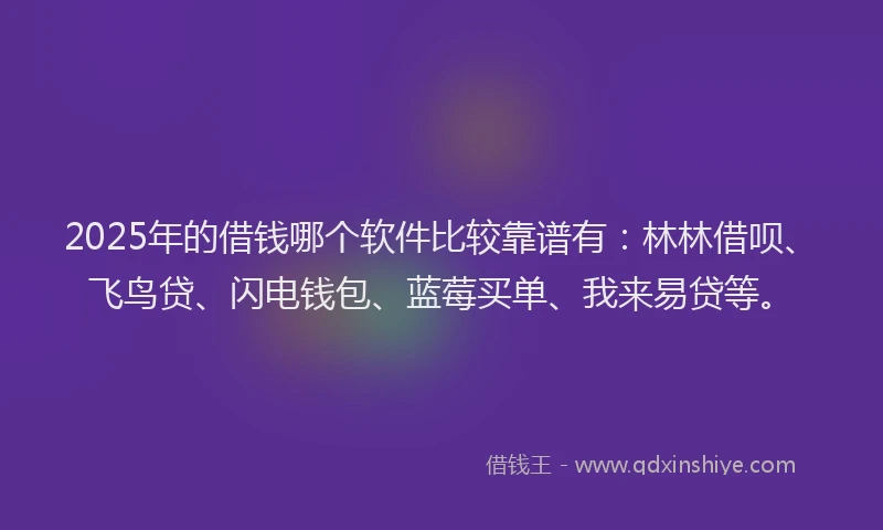 2025年的借钱哪个软件比较靠谱有：林林借呗、飞鸟贷、闪电钱包、蓝莓买单、我来易贷等。