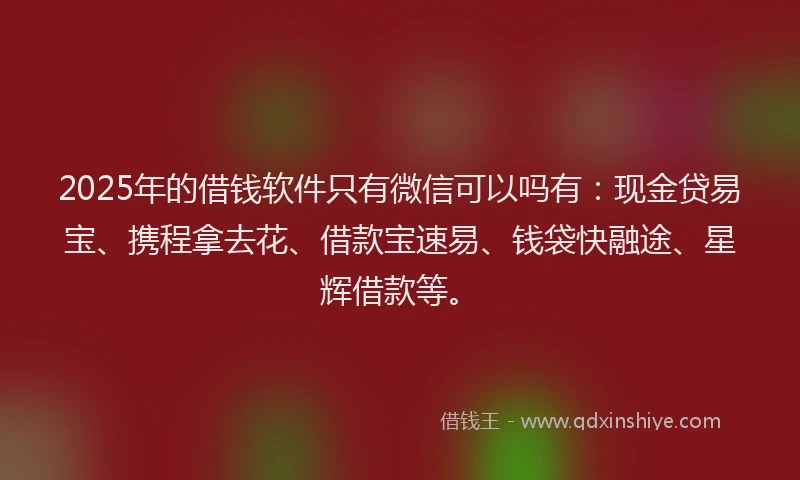 2025年的借钱软件只有微信可以吗有：现金贷易宝、携程拿去花、借款宝速易、钱袋快融途、星辉借款等。