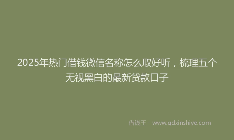 2025年热门借钱微信名称怎么取好听，梳理五个无视黑白的最新贷款口子