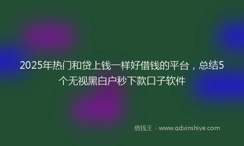 2025年热门和贷上钱一样好借钱的平台，总结5个无视黑白户秒下款口子软件