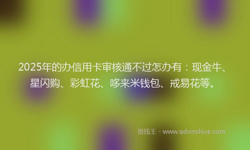2025年的办信用卡审核通不过怎办有：现金牛、星闪购、彩虹花、哆来米钱包、戒易花等。