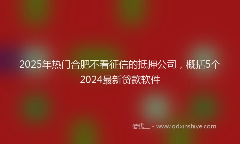 2025年热门合肥不看征信的抵押公司，概括5个2024最新贷款软件