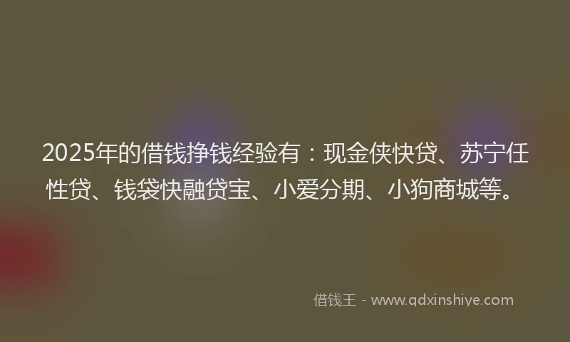 2025年的借钱挣钱经验有：现金侠快贷、苏宁任性贷、钱袋快融贷宝、小爱分期、小狗商城等。