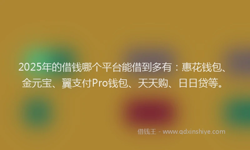 2025年的借钱哪个平台能借到多有：惠花钱包、金元宝、翼支付Pro钱包、天天购、日日贷等。
