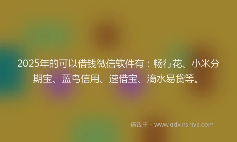 2025年的可以借钱微信软件有：畅行花、小米分期宝、蓝鸟信用、速借宝、滴水易贷等。
