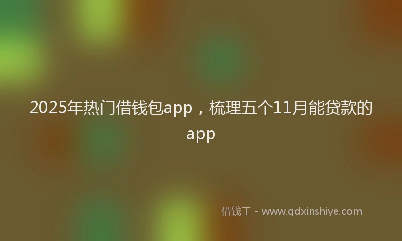 2025年热门借钱包app，梳理五个11月能贷款的app