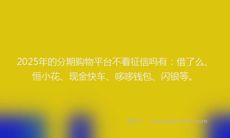 2025年的分期购物平台不看征信吗有：借了么、恒小花、现金快车、哆哆钱包、闪银等。