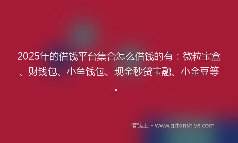 2025年的借钱平台集合怎么借钱的有：微粒宝盒、财钱包、小鱼钱包、现金秒贷宝融、小金豆等。