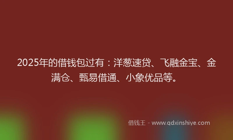 2025年的借钱包过有：洋葱速贷、飞融金宝、金满仓、甄易借通、小象优品等。