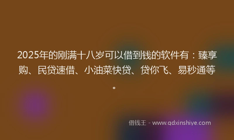 2025年的刚满十八岁可以借到钱的软件有：臻享购、民贷速借、小油菜快贷、贷你飞、易秒通等。