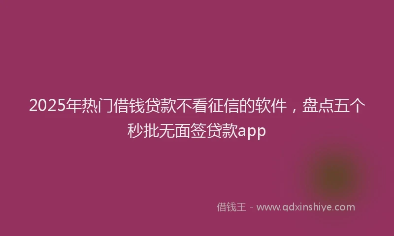 2025年热门借钱贷款不看征信的软件，盘点五个秒批无面签贷款app