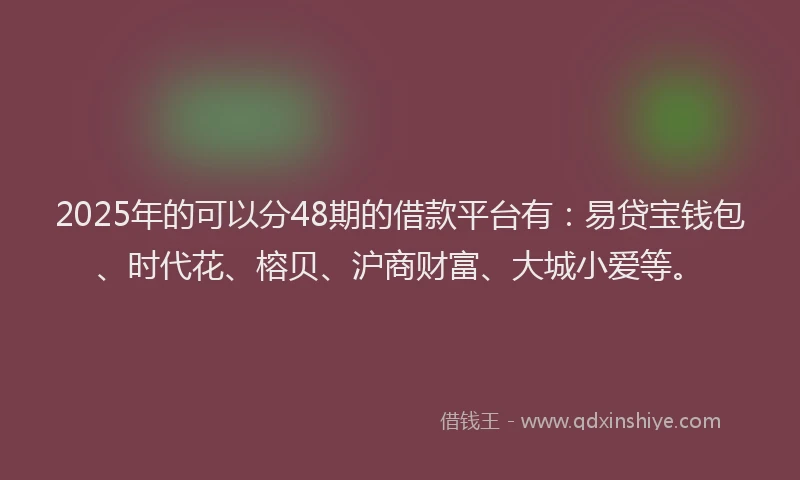 2025年的可以分48期的借款平台有：易贷宝钱包、时代花、榕贝、沪商财富、大城小爱等。