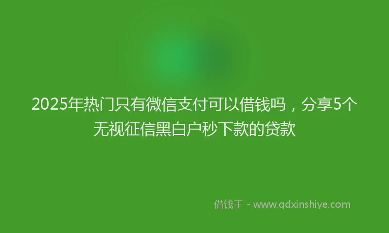 2025年热门只有微信支付可以借钱吗，分享5个无视征信黑白户秒下款的贷款