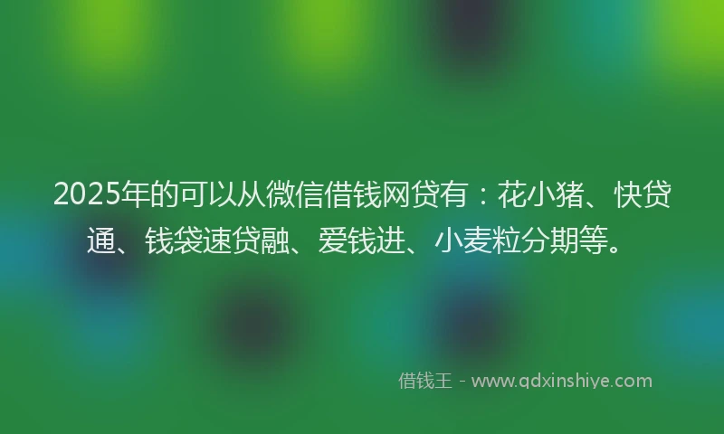 2025年的可以从微信借钱网贷有：花小猪、快贷通、钱袋速贷融、爱钱进、小麦粒分期等。