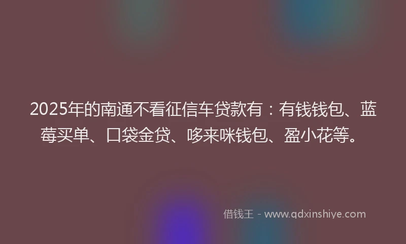 2025年的南通不看征信车贷款有：有钱钱包、蓝莓买单、口袋金贷、哆来咪钱包、盈小花等。