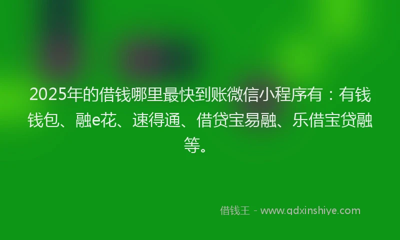 2025年的借钱哪里最快到账微信小程序有：有钱钱包、融e花、速得通、借贷宝易融、乐借宝贷融等。
