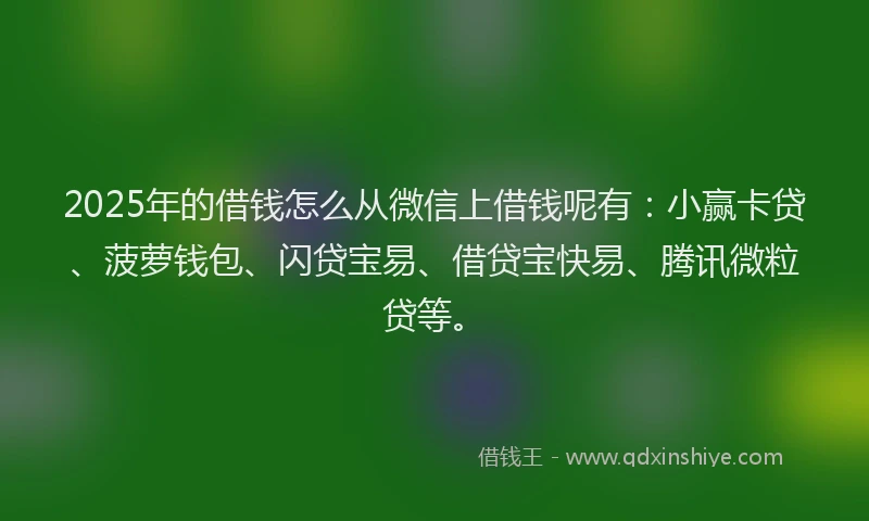 2025年的借钱怎么从微信上借钱呢有：小赢卡贷、菠萝钱包、闪贷宝易、借贷宝快易、腾讯微粒贷等。