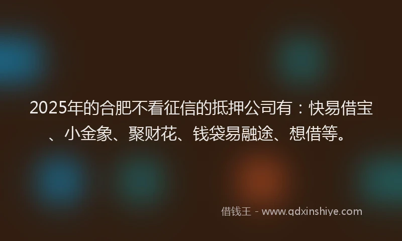 2025年的合肥不看征信的抵押公司有：快易借宝、小金象、聚财花、钱袋易融途、想借等。