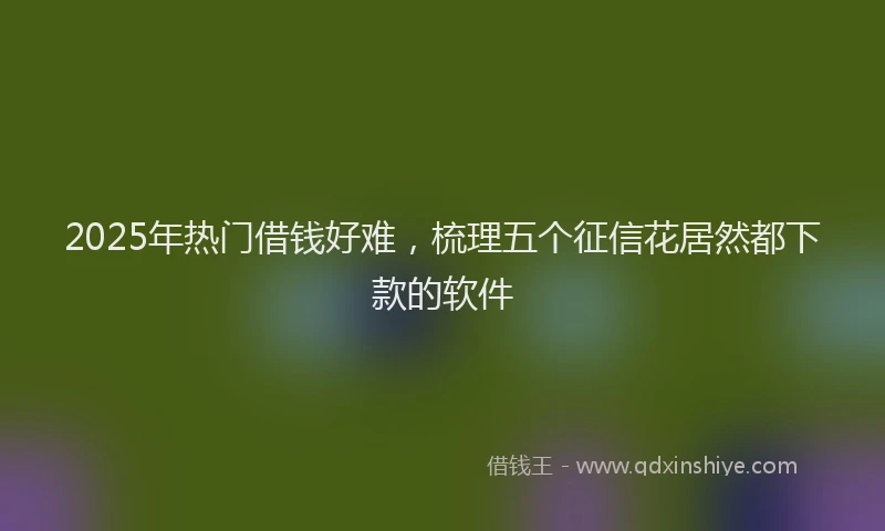 2025年热门借钱好难，梳理五个征信花居然都下款的软件