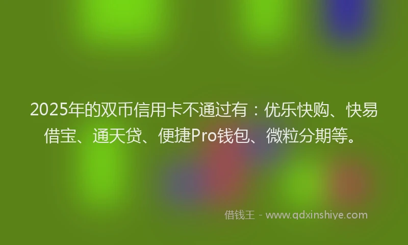2025年的双币信用卡不通过有：优乐快购、快易借宝、通天贷、便捷Pro钱包、微粒分期等。