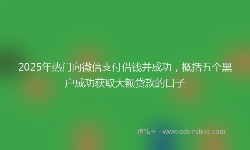 2025年热门向微信支付借钱并成功，概括五个黑户成功获取大额贷款的口子