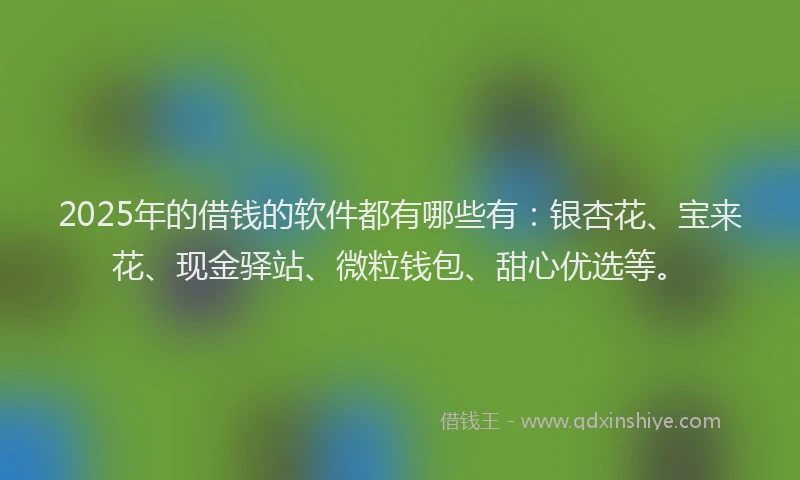 2025年的借钱的软件都有哪些有：银杏花、宝来花、现金驿站、微粒钱包、甜心优选等。