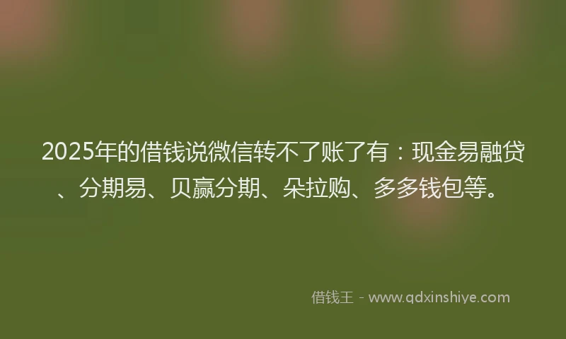 2025年的借钱说微信转不了账了有：现金易融贷、分期易、贝赢分期、朵拉购、多多钱包等。