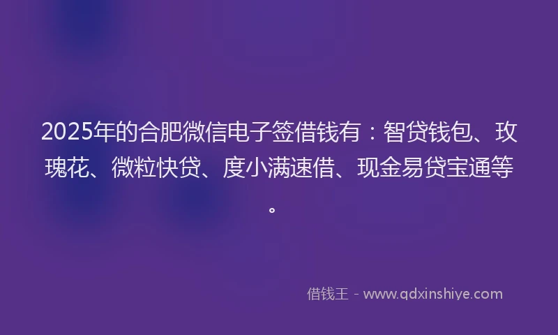 2025年的合肥微信电子签借钱有：智贷钱包、玫瑰花、微粒快贷、度小满速借、现金易贷宝通等。