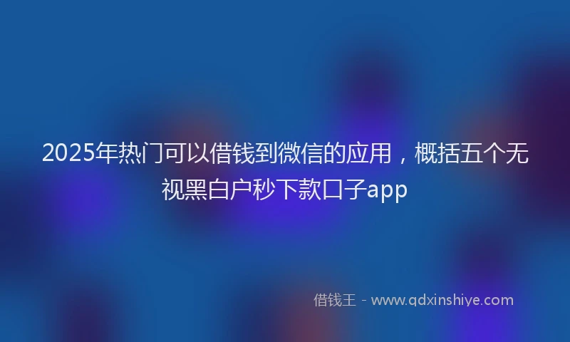 2025年热门可以借钱到微信的应用，概括五个无视黑白户秒下款口子app