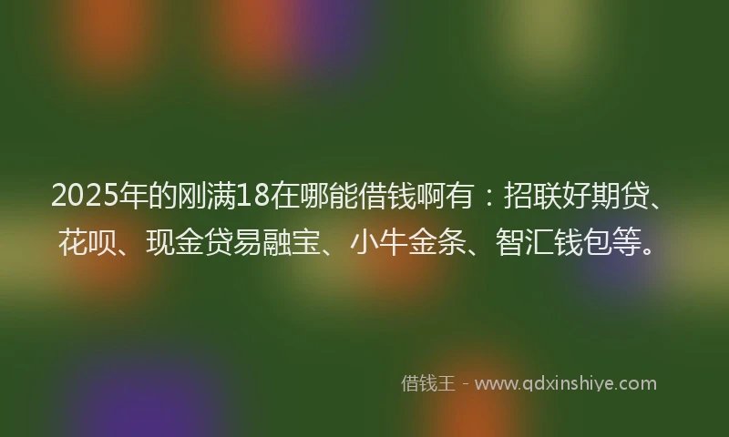 2025年的刚满18在哪能借钱啊有：招联好期贷、花呗、现金贷易融宝、小牛金条、智汇钱包等。