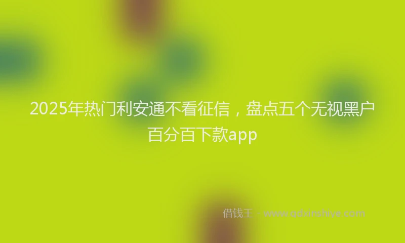 2025年热门利安通不看征信，盘点五个无视黑户百分百下款app