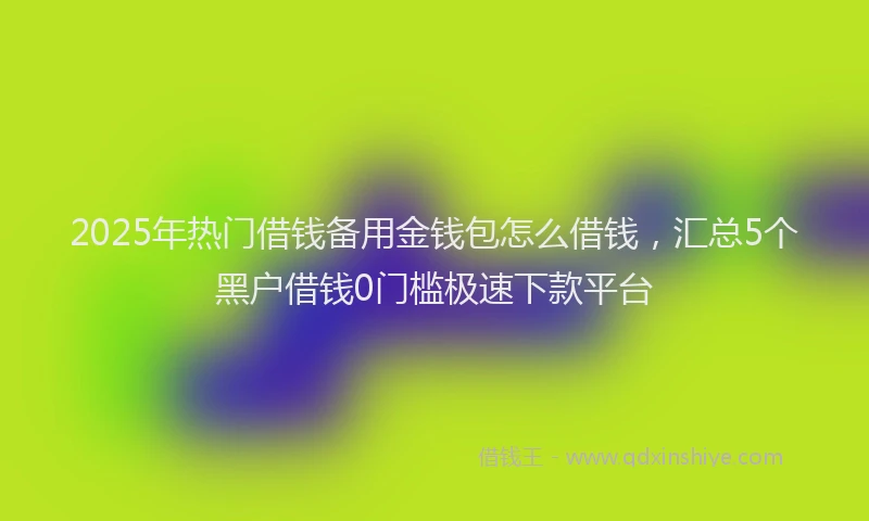 2025年热门借钱备用金钱包怎么借钱，汇总5个黑户借钱0门槛极速下款平台