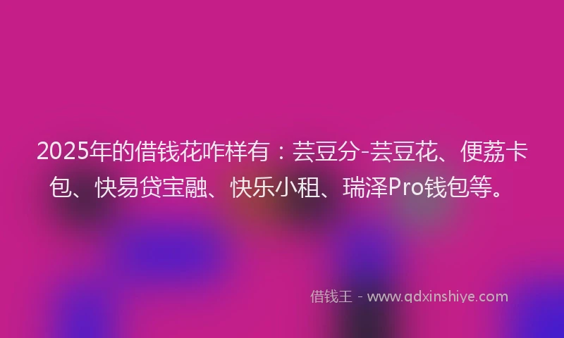 2025年的借钱花咋样有：芸豆分-芸豆花、便荔卡包、快易贷宝融、快乐小租、瑞泽Pro钱包等。